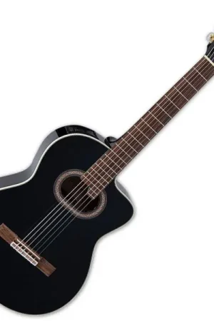 Acheter Direct Takamine GC6CE BLK - black