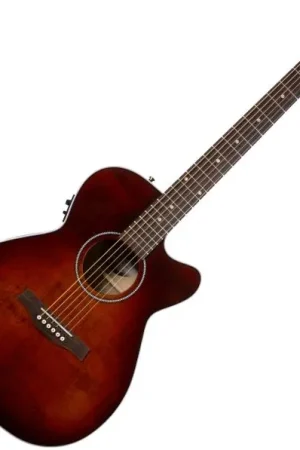 Nouvel Arrivage Seagull Performer Flame Maple CW Concert Hall Presys II - burst umber