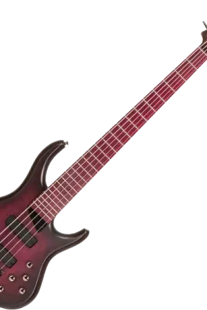 Mtd Andrew Gouché Kingston KAG5PH 5-String - ag burst Acheter Direct