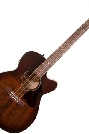 Acheter Direct Art et lutherie Legacy CW Presys II - bourbon burst