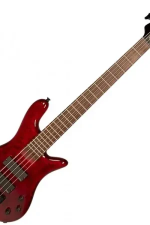 Spector Bantam 5 - black cherry Commander Vite