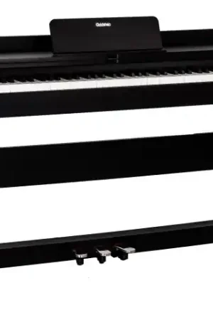 Goldstein GLP-8 - noir Commande En Gros