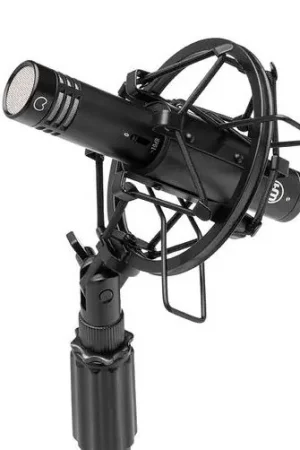 Quantité Limitée Warm audio Wa84-C Black
