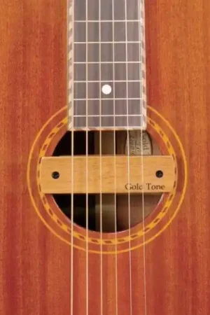 Commande En Gros Gold tone Weissenborn Pickup