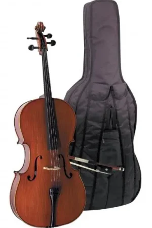 Gewa Ensemble Violoncelle EW 3/4 Dernière Chance