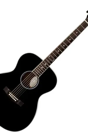Acheter En Ligne Eastone OM100-BLK - black