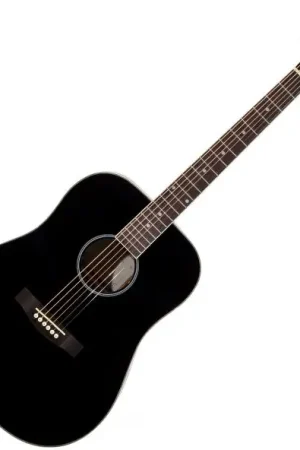 Marque Eastone DR100-BLK - black