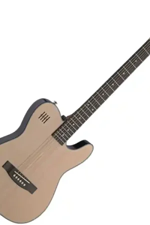 Meilleure Vente J.n guitars EW3000C - natural