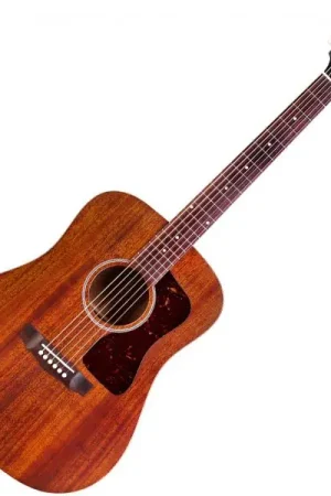 Guild D-20 USA - natural Promotion Saisonnière