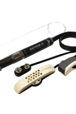Acheter En Ligne Lr baggs Anthem SL