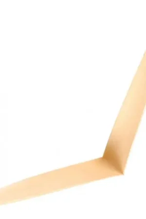 Dernier Modèle Vandoren OCS31 Roseau Gougé, Taillé Hautbois Moyen