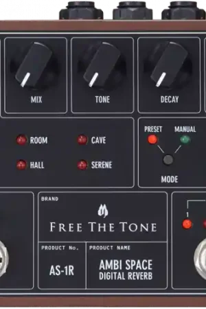Free the tone Ambi Space AS-1R Digital Reverb Expédition Rapide