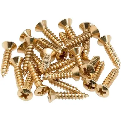Achetez Aujourd’hui Fender Pickguard - Control Plate Mounting Screws (24) Gold
